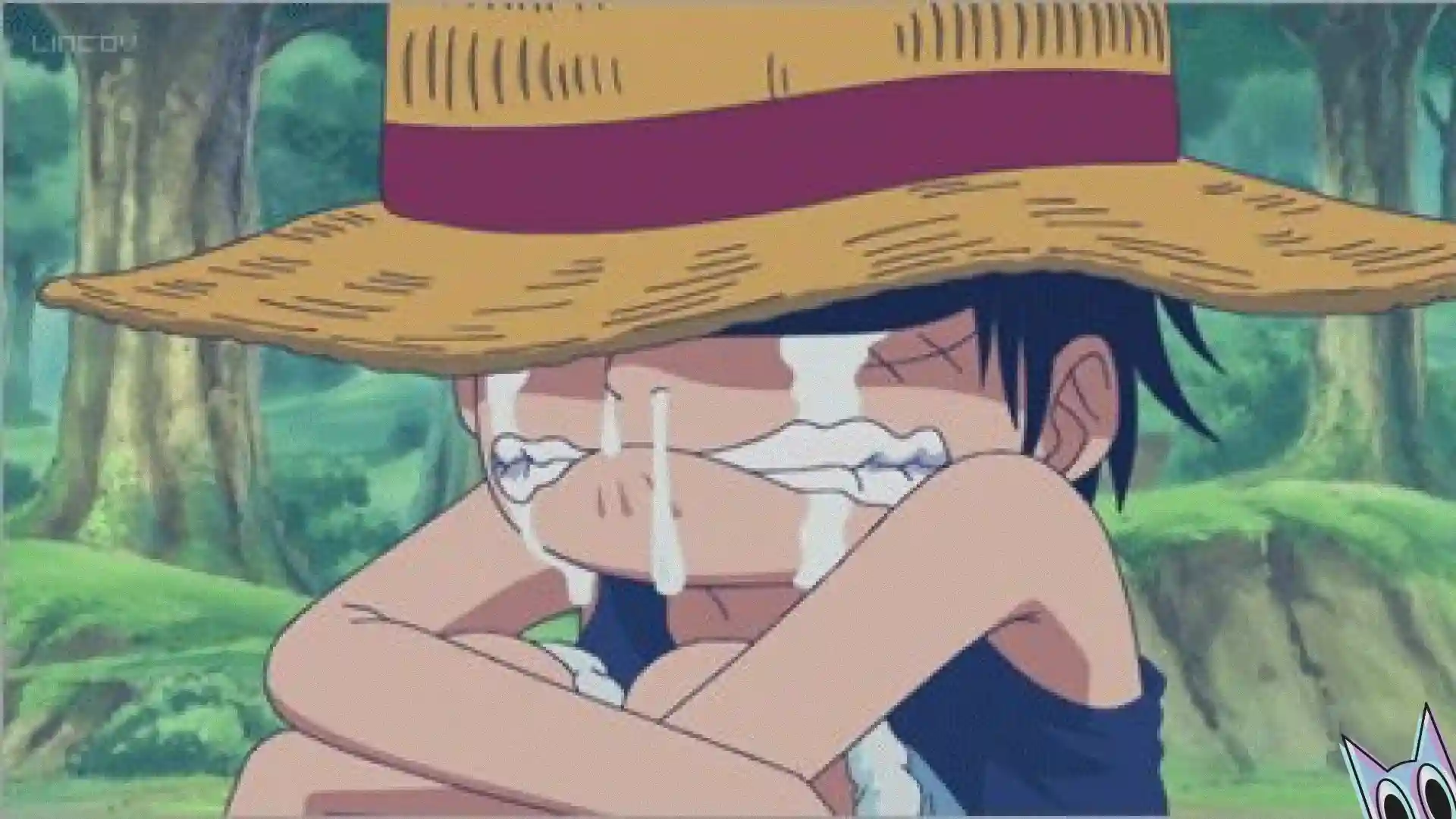 Luffy criança chorando, informando sobre a pausa do capítulo 1163.